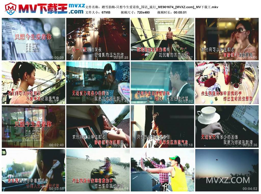 踏雪韵梅-只想今生爱着你_国语_流行_ME901674
